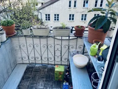 Vorschaubild 1
