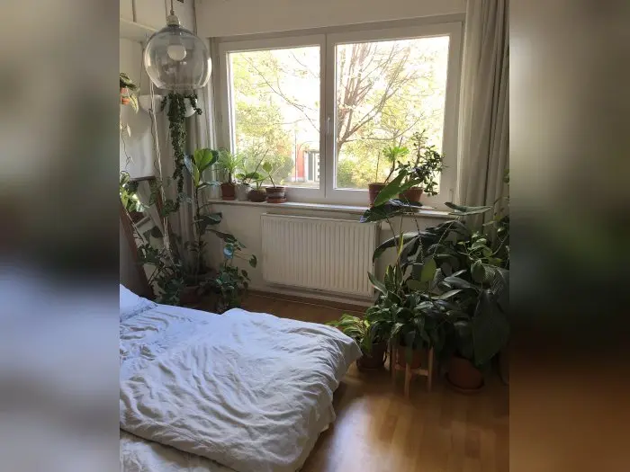 Vorschaubild 3
