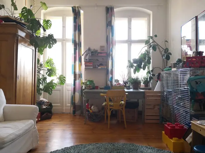 Vorschaubild 1