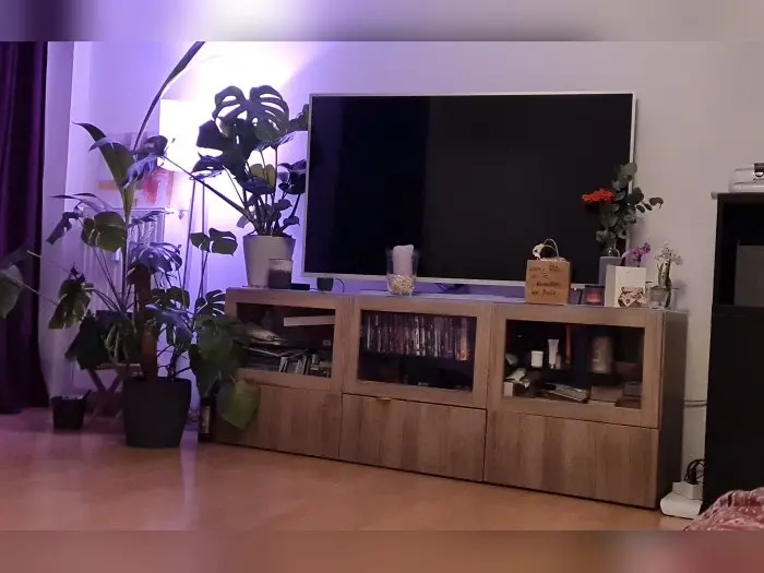 Vorschaubild 2