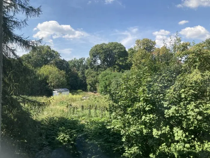 Vorschaubild 1