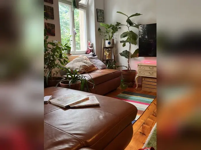 Vorschaubild 1