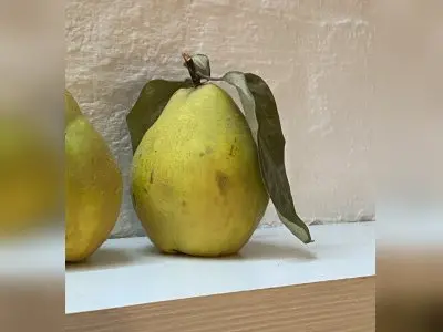 Schöne Zwei Zimmer Wohnung in Eimsbüttel