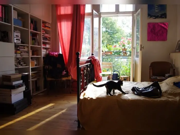 Vorschaubild 1