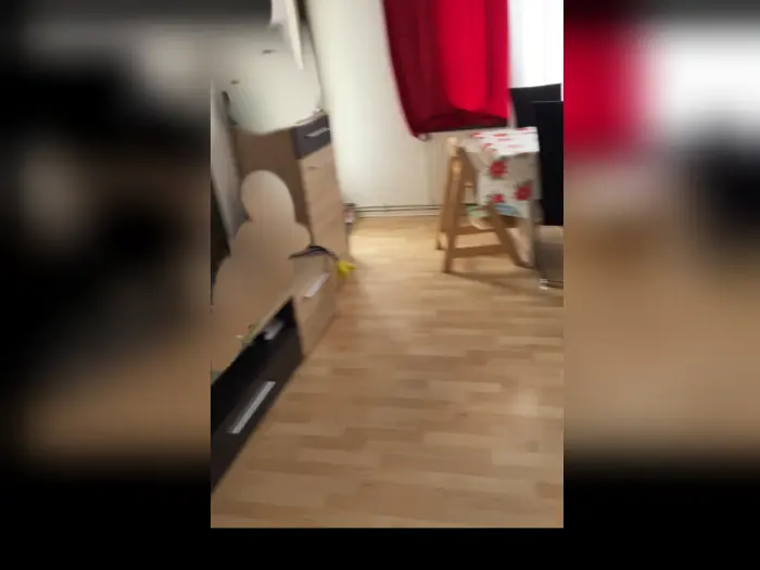 Vorschaubild 1