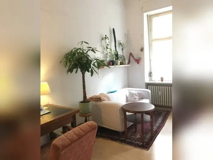 Vorschaubild 3