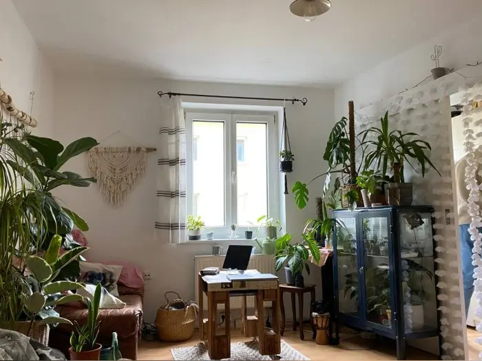 Vorschaubild 1