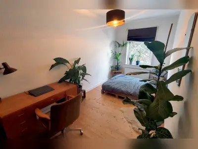 Vorschaubild 3