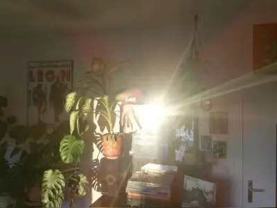 Sonnenfenster ins Zollstocker Herz, 2ZKDB u. Balkon