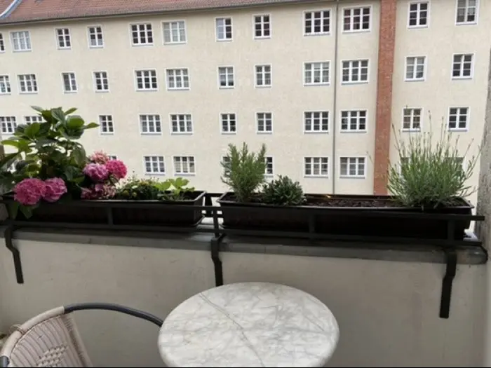 Vorschaubild 3