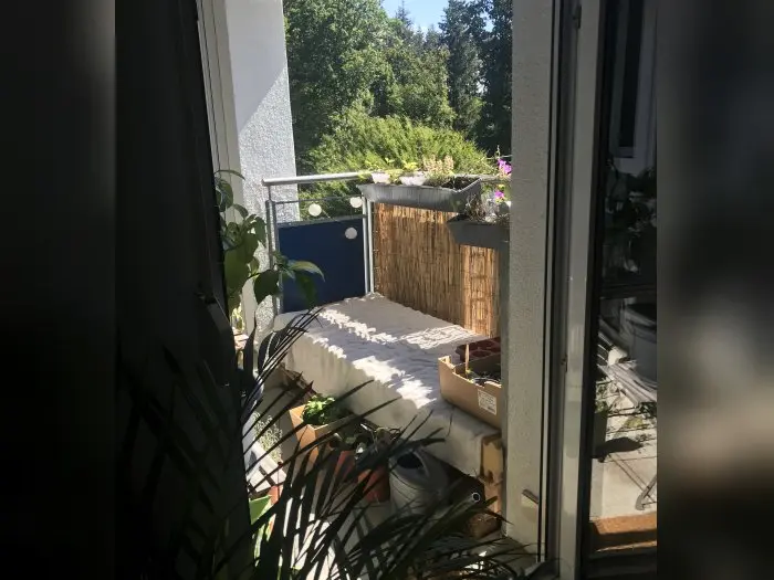 Vorschaubild 1