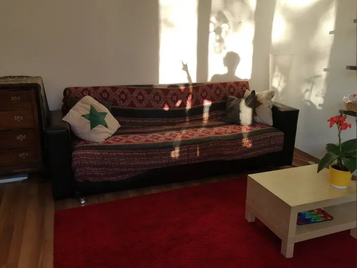 Vorschaubild 1