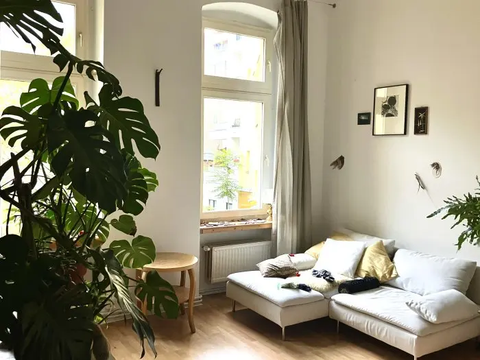 Vorschaubild 1