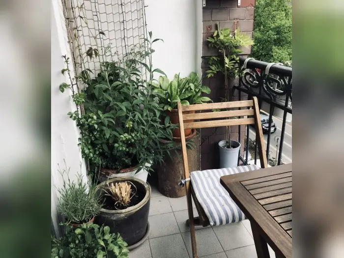 Vorschaubild 3