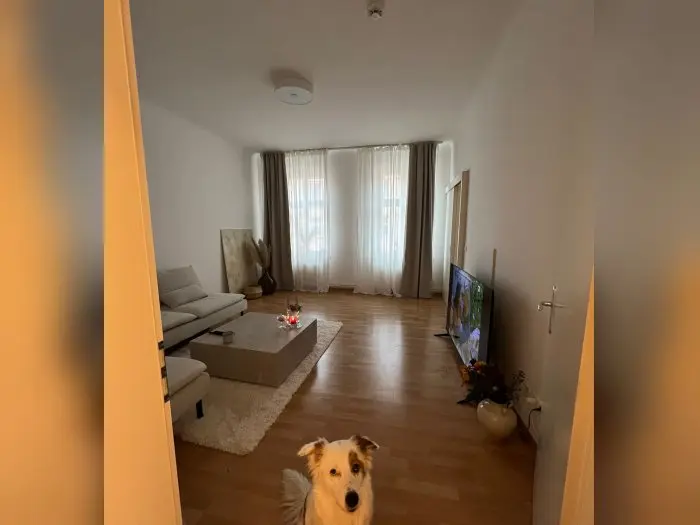 Vorschaubild 1