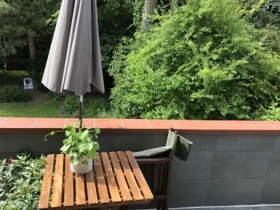 Tauschwohnung 3 Zimmer in beschaulicher Lage in Ottensen