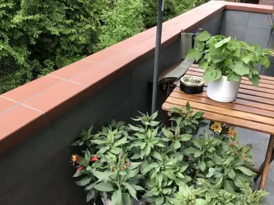 Vorschaubild 2