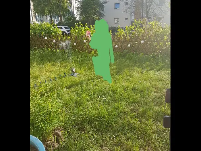 Vorschaubild 1