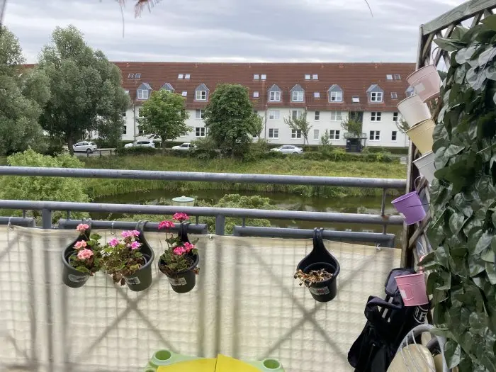 Vorschaubild 1