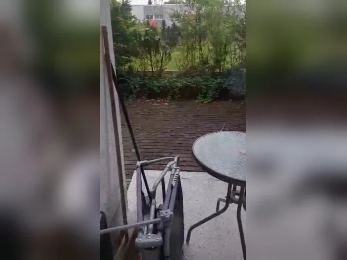Vorschaubild 1