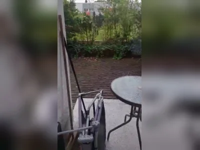 Vorschaubild 1