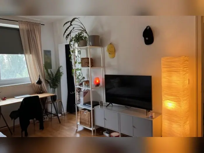 Vorschaubild 1