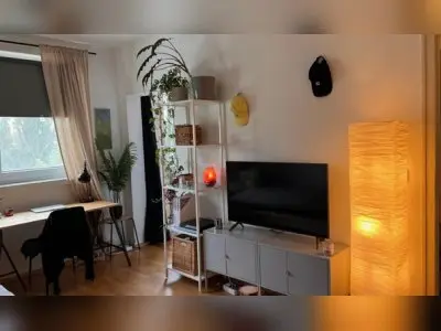 Vorschaubild 1