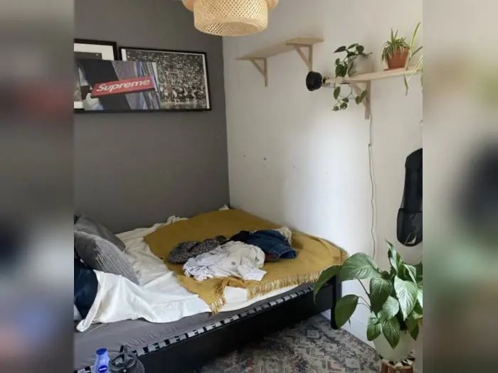 Vorschaubild 3