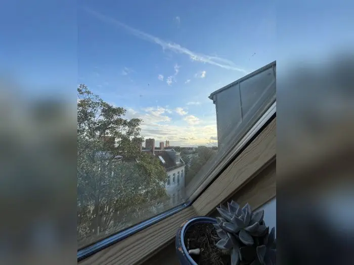 Vorschaubild 3