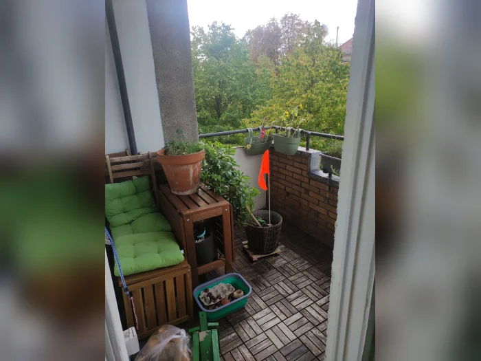Vorschaubild 3