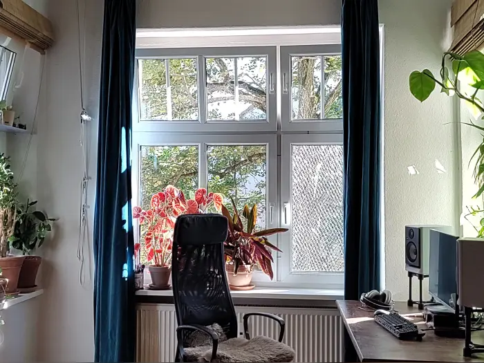 Vorschaubild 2