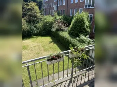 Vorschaubild 3