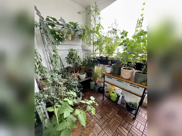 Vorschaubild 2