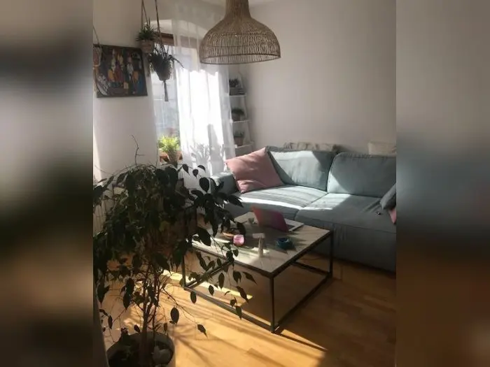 Vorschaubild 1