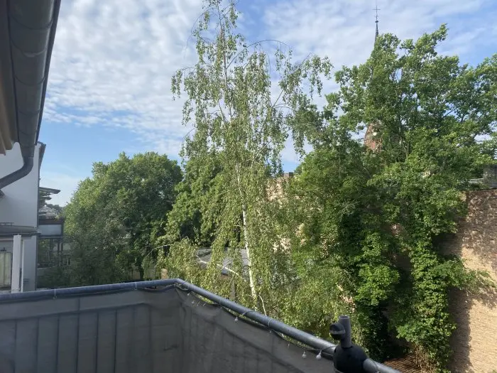 Vorschaubild 3