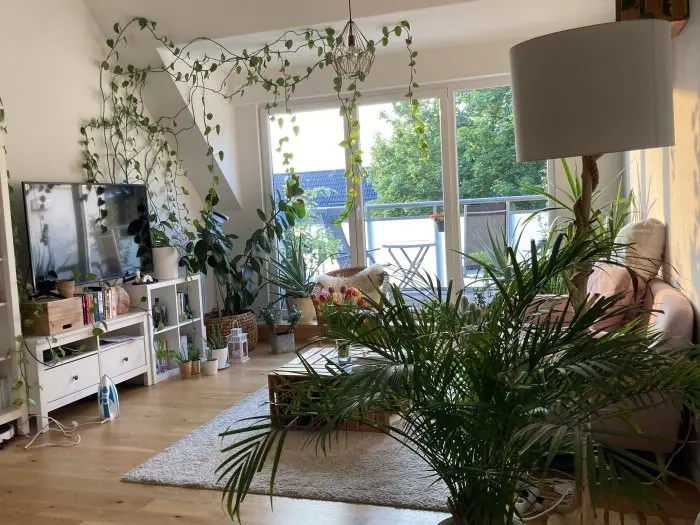 Vorschaubild 1