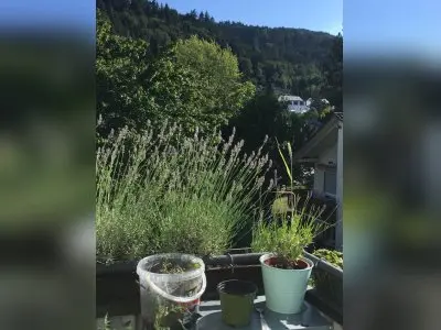 Vorschaubild 2