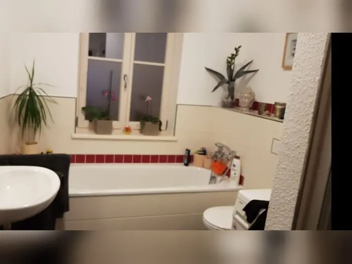 Vorschaubild 2