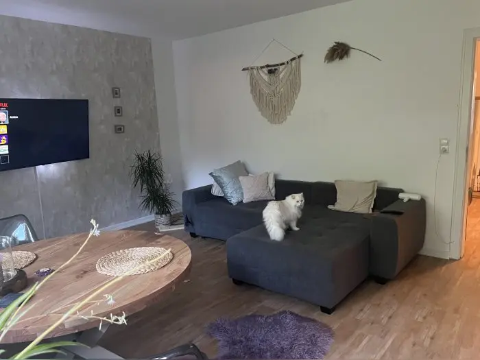 Vorschaubild 3