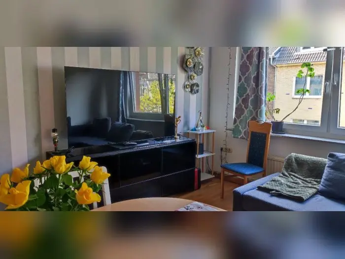 Vorschaubild 1