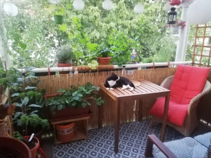 Vorschaubild 1