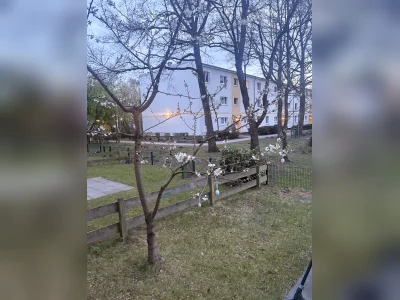 Wohnung im grünen mit Terrasse