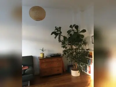 Vorschaubild 3