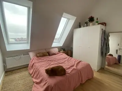 Vorschaubild 2
