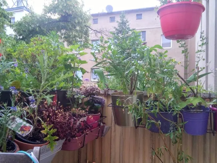 Vorschaubild 1