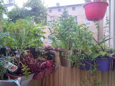 Vorschaubild 1