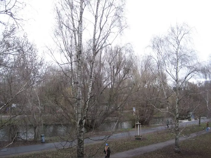 Vorschaubild 2