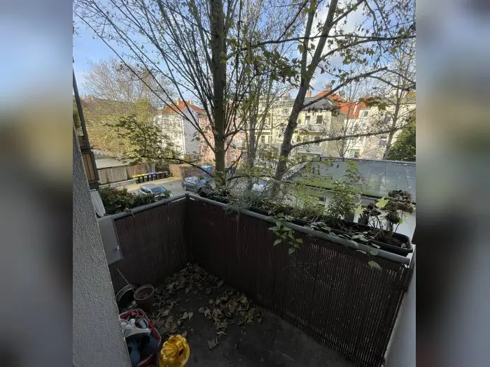 Vorschaubild 3