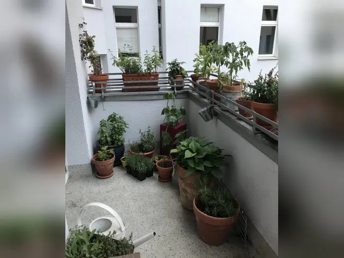 Vorschaubild 1