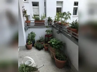 Suchen große Whg in KB/NK/ SB gegen kleine Whg in Neukölln
